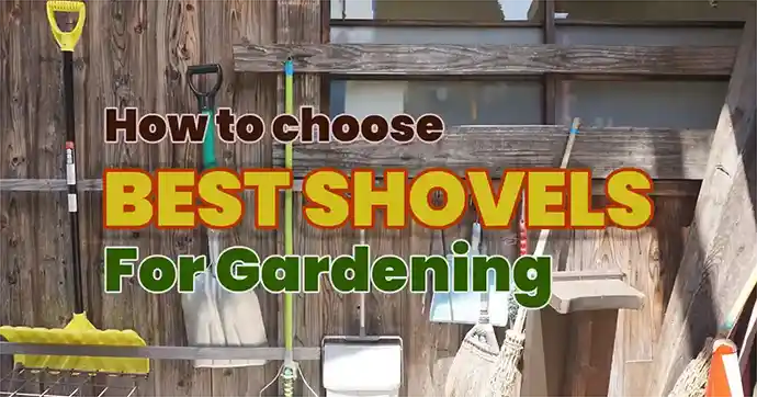 How-to-Choose-Best-Shovels-for-Gardening-tools-in-your-Daily-Life