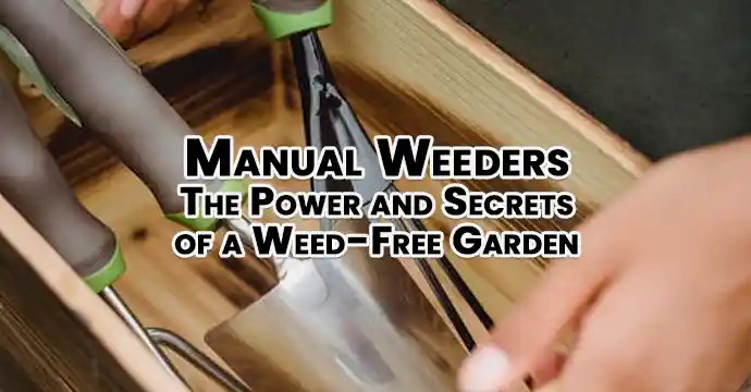 Manual Weeders The Power and Secrets of a Weed-Free Garden