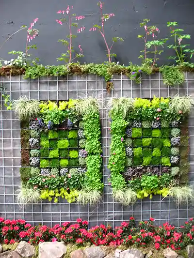 Try Vertical Gardening-2