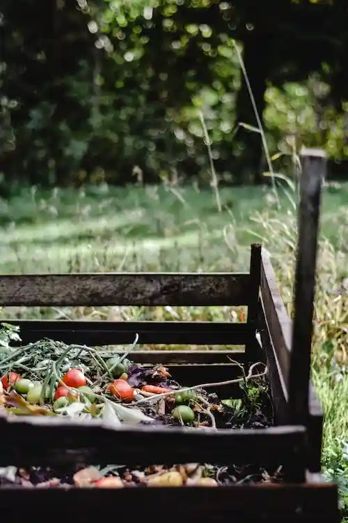 Composting 101 for gardening