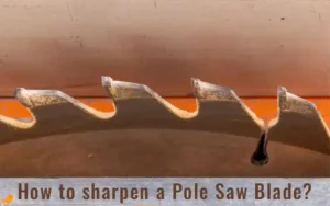 How to sharpen a Pole Saw Blade in an effective way