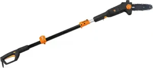 One of the best pole saw - WEN 4019 6-Amp 8-Inch Electric Telescoping Pole Saw