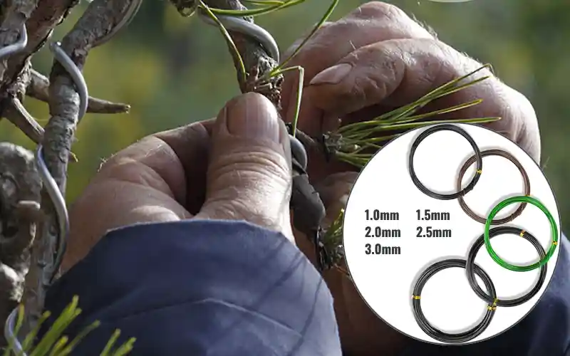 Bonsai Training Wire - 1.5mm Black Aluminum Wire For Shaping Trees & Plants