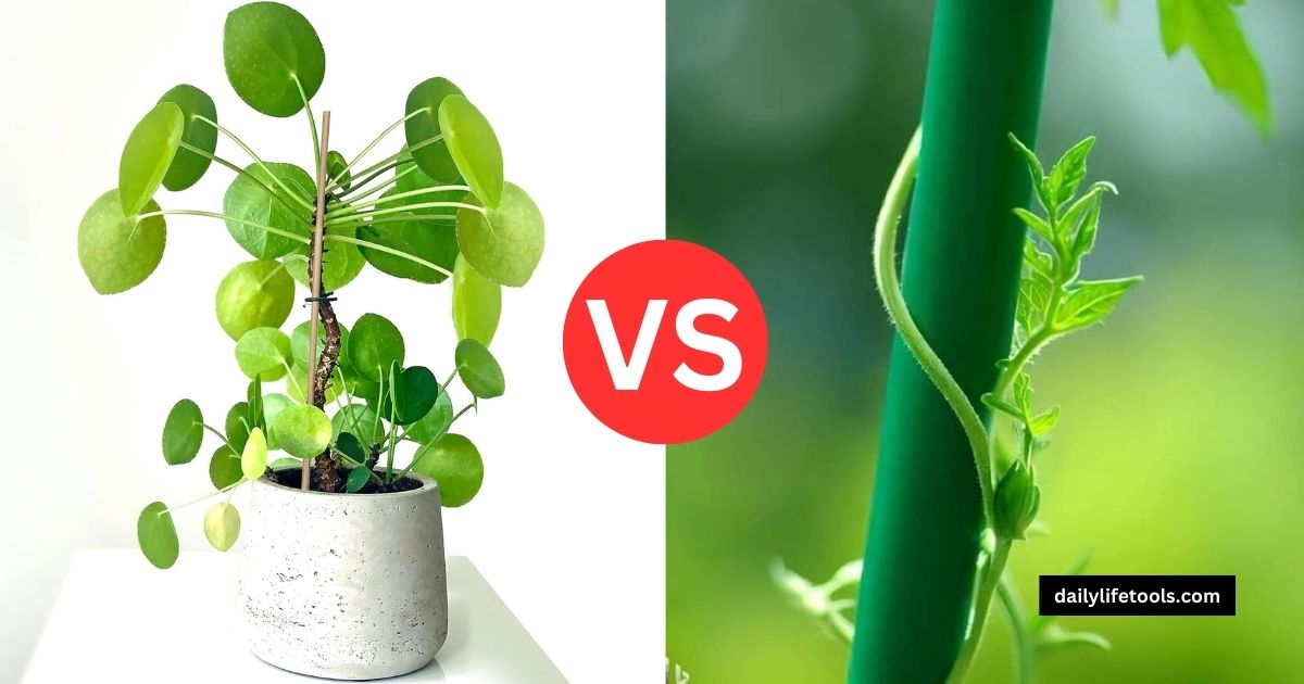 A side-by-side comparison of fiberglass and bamboo plant stakes in a garden setting. Fiberglass VS Bamboo Plant Stakes: Which is Better for Your Garden?