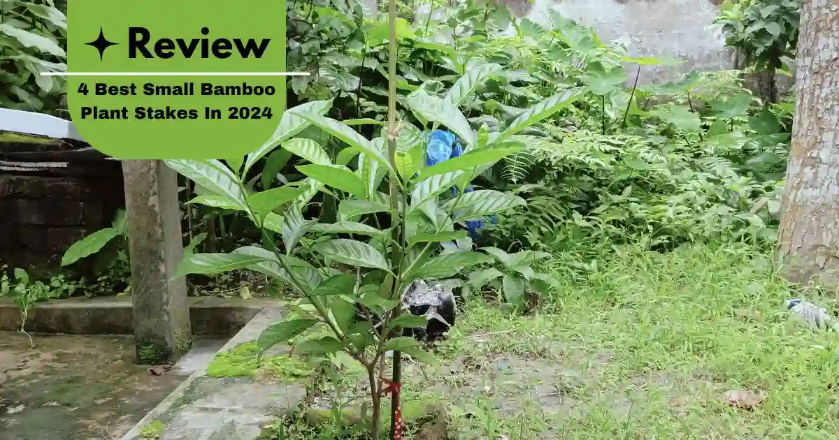 A small bamboo plant stake supporting a young tree in a garden. Best Small Bamboo Plant Stakes In 2024.