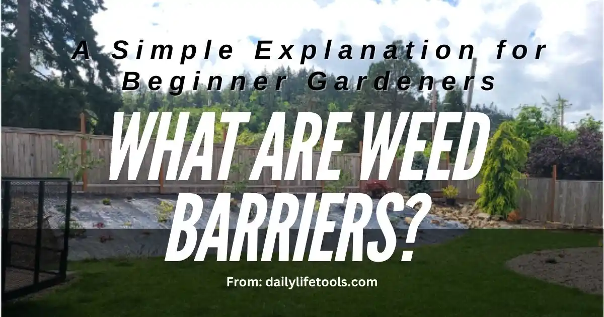 A garden with a weed barrier in place, showing a well-maintained lawn and colorful plants. What are weed barriers? A Simple Explanation for Beginner Gardeners