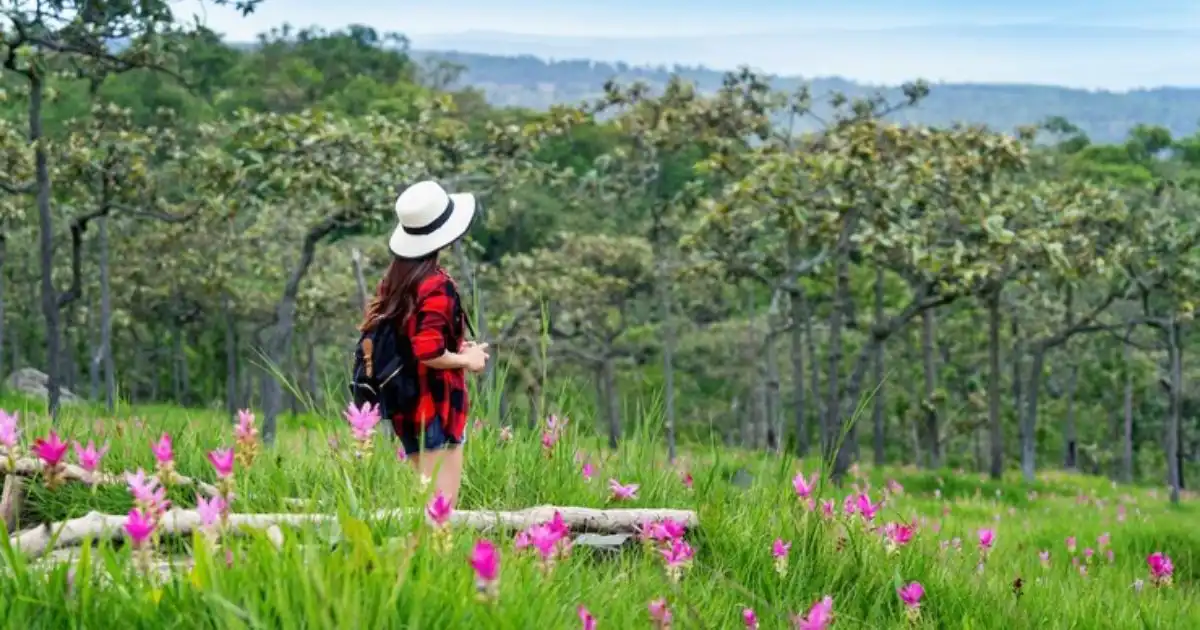 A vibrant image showcasing the beauty of Alaska's diverse gardens, from lush rainforests to serene botanical gardens.
