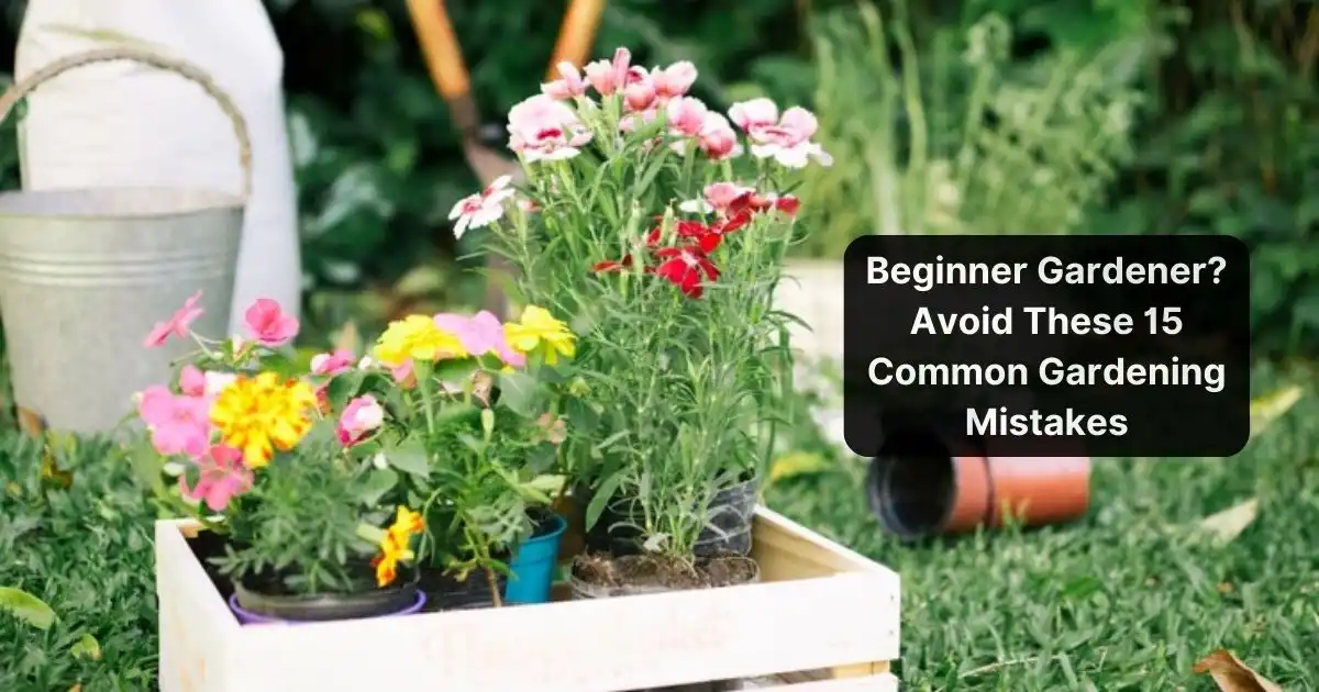 A wooden crate filled with colorful flowers and plants, sitting on a lush green lawn. Beginner Gardener Avoid These 15 Common Gardening Mistakes