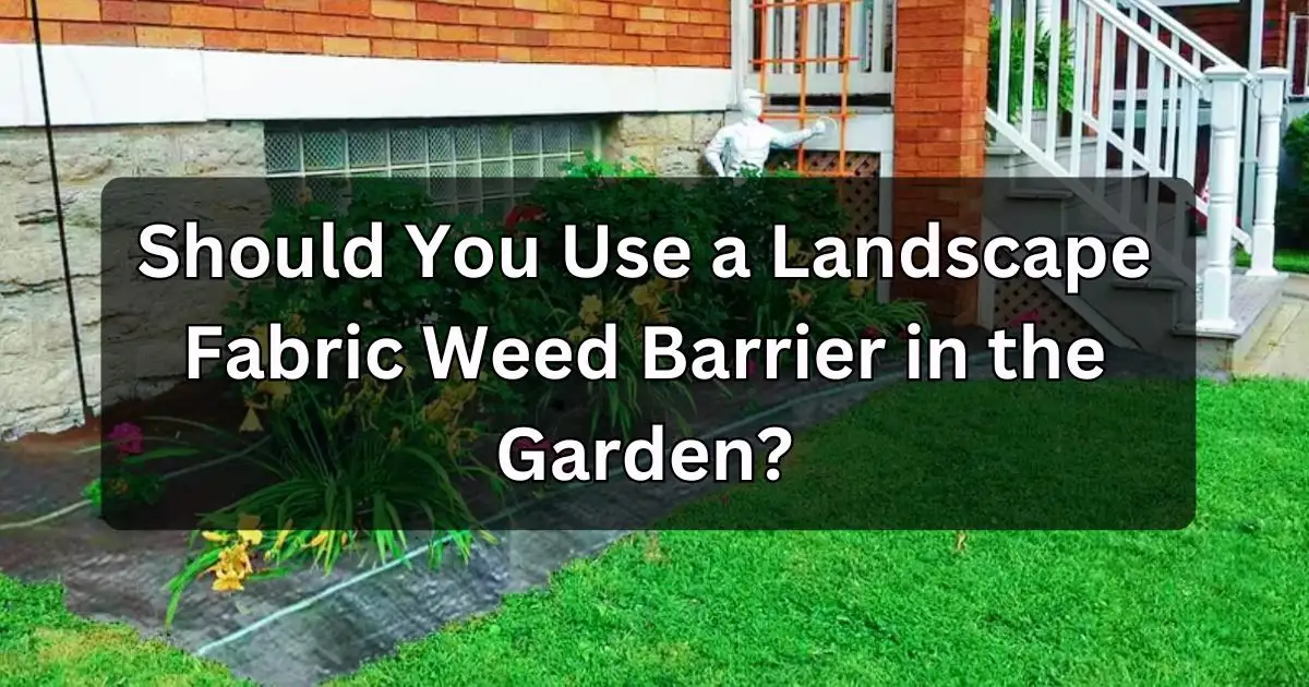 Should You Use a Landscape Fabric Weed Barrier in the Garden?