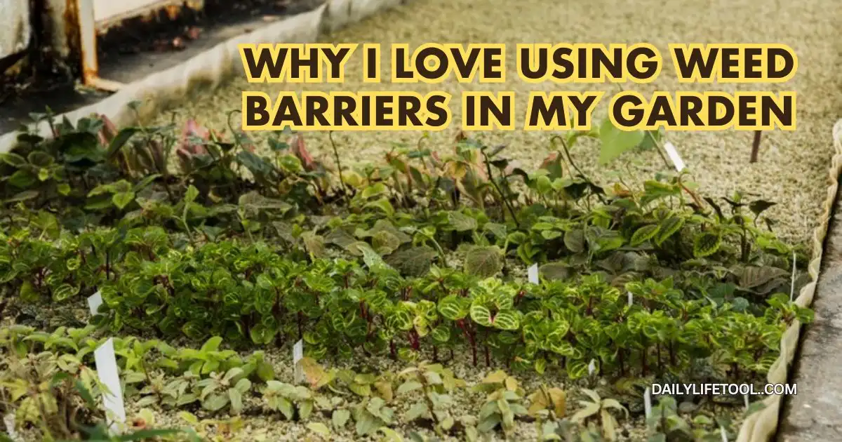 A close-up of a garden bed with various plants growing in it. The text "WHY I LOVE USING WEED BARRIERS IN MY GARDEN" is displayed prominently. Why I Love Using Weed Barriers in My Garden