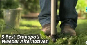 5-Best-Alternatives-to-Grandpa’s-Weeder-for-Easy-Weed-Removal-in-2025