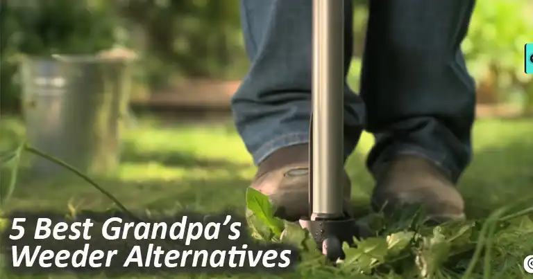5-Best-Alternatives-to-Grandpa’s-Weeder-for-Easy-Weed-Removal-in-2025