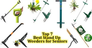 Best Stand Up Weeders for Seniors - Top 7