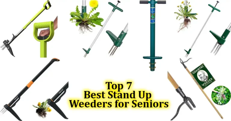 Best Stand Up Weeders for Seniors - Top 7