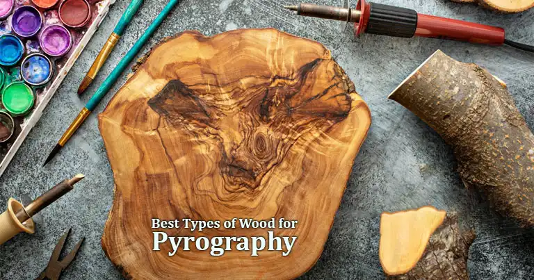 7 Best Types of Wood for Pyrography